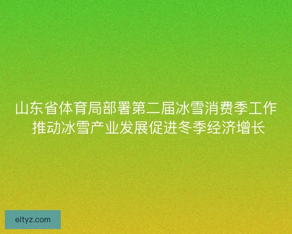 山东省体育局部署第二届冰雪消费季工作 推动冰雪产业发展促进冬季经济增长